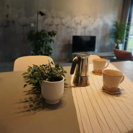 アパート Zakatek Z Ogrodkiem I Miejscem W Garazu Podziemnym ビエルスコ・ビアバ