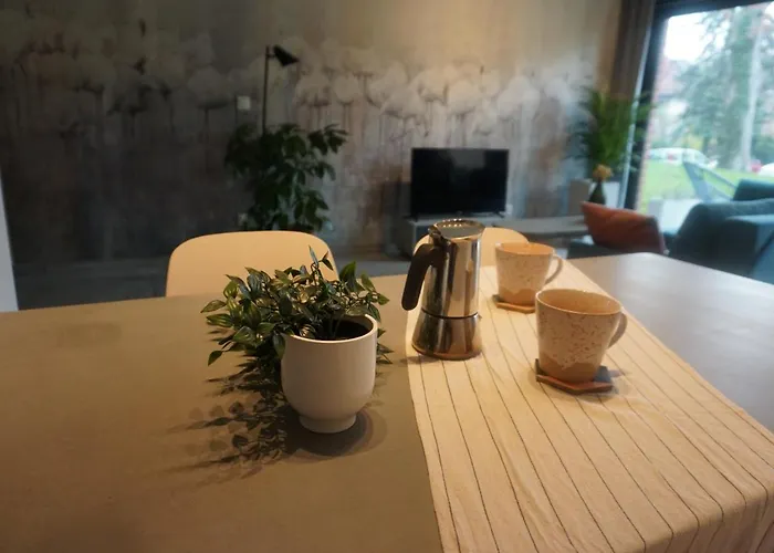 Διαμέρισμα Zakatek Z Ogrodkiem I Miejscem W Garazu Podziemnym Μπιέλσκο-Μπιάλα