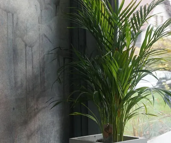 Zakatek Z Ogrodkiem I Miejscem W Garazu Podziemnym Διαμέρισμα